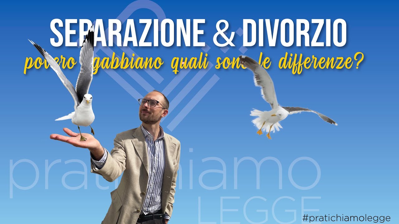 Separazione e Divorzio quali sono le differenze? | Povero Gabbiano | Studio Legale Pratichiamo Legge