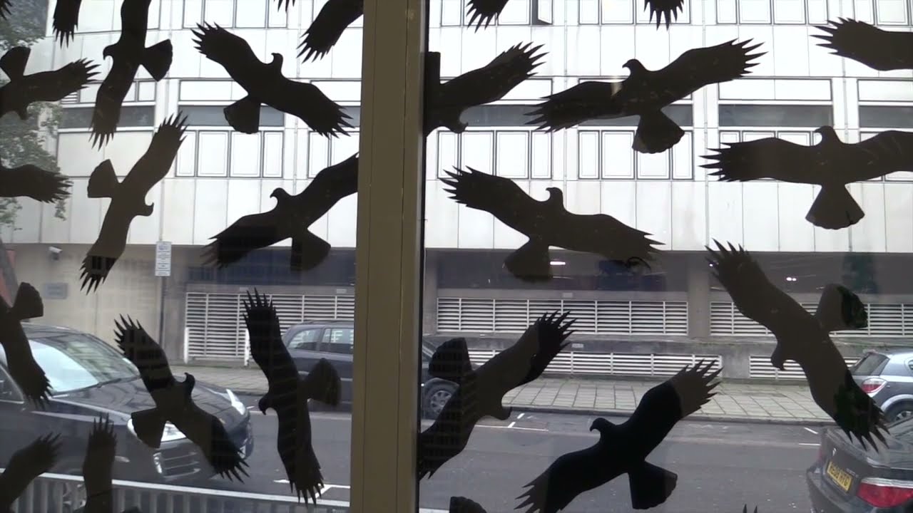Nostalgic for the Future, Lisson Gallery, 2013