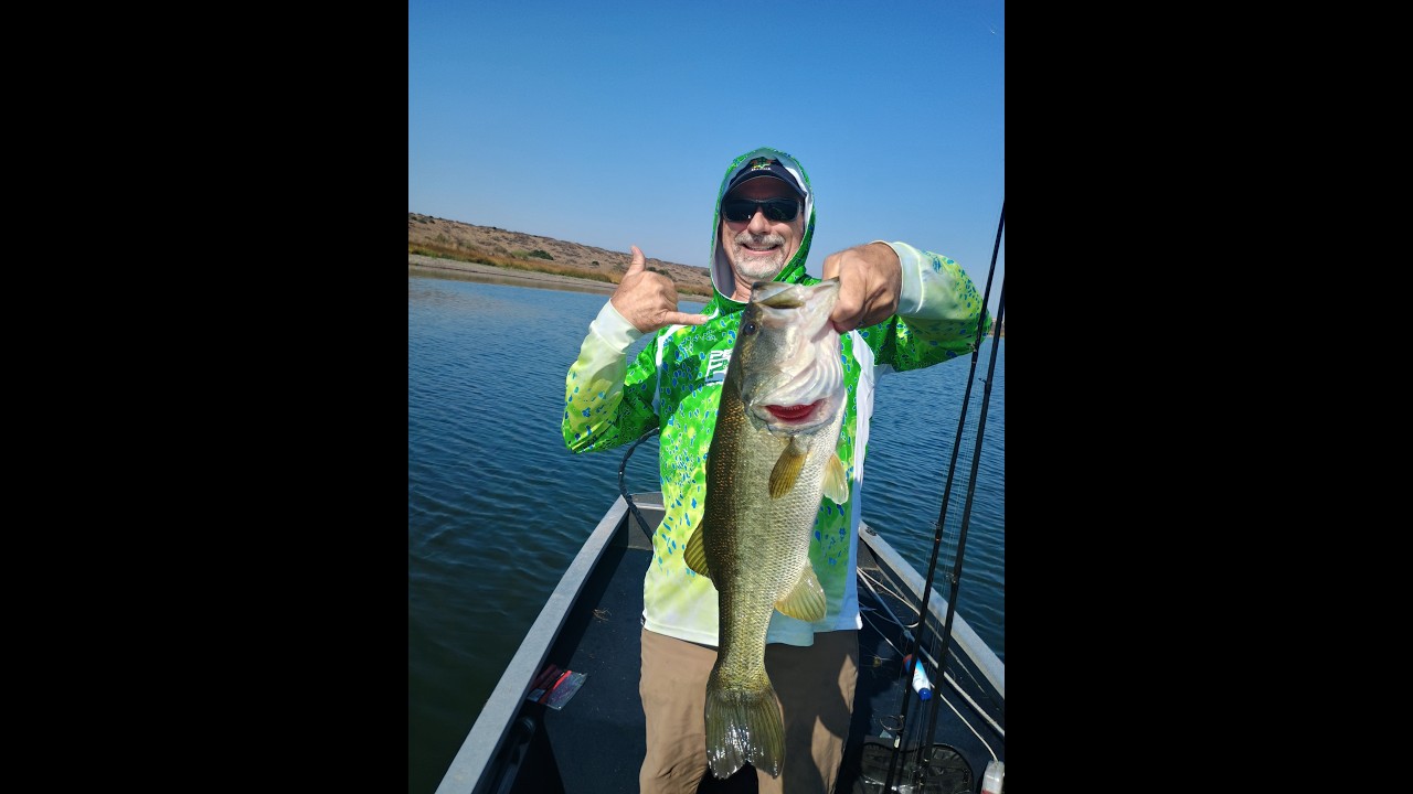How to Set Up And Fish A Texas Rigged Senko, Fat Ika & Drop Shot Rig