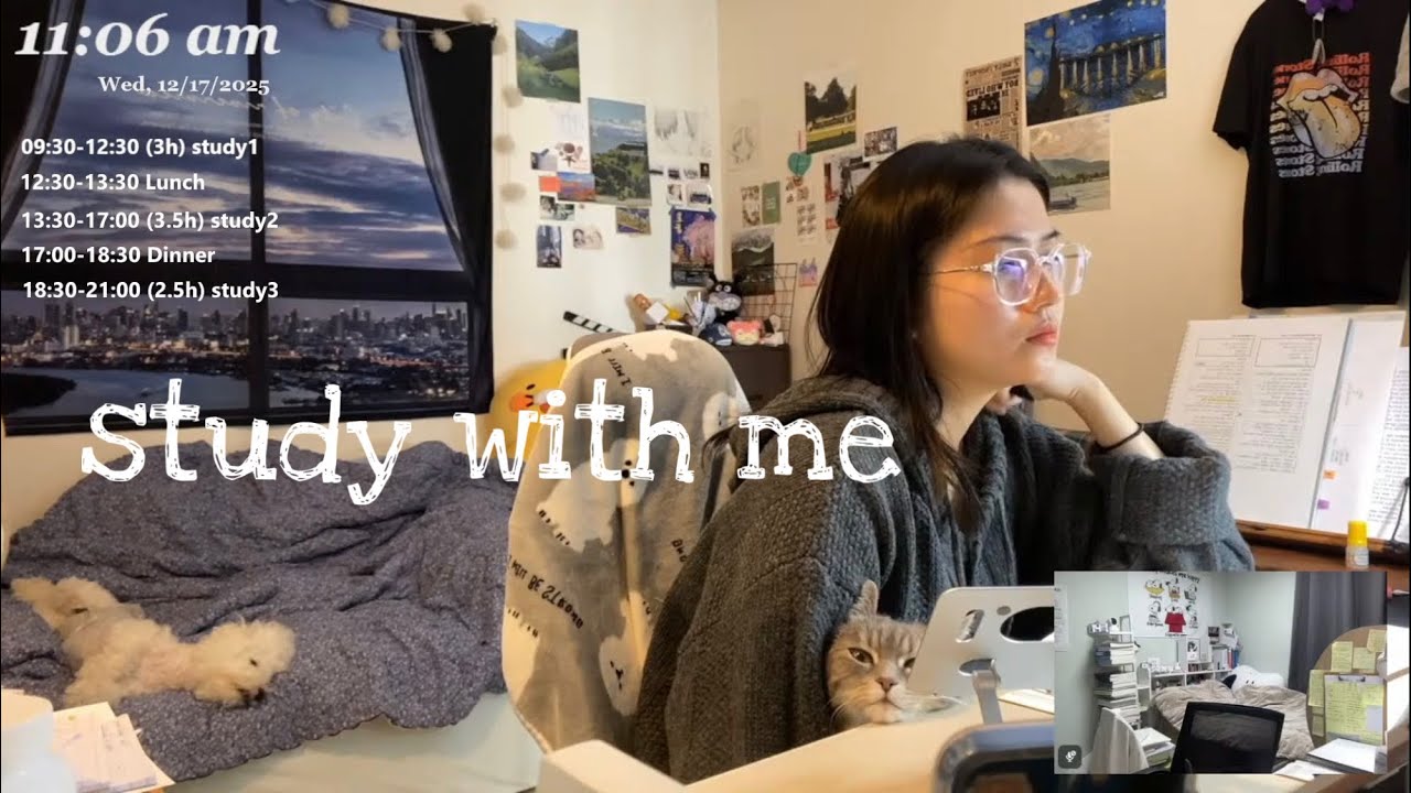LIVE study with me/ 스터디윗미📚/ 천둥 빗소리, 장작asmr