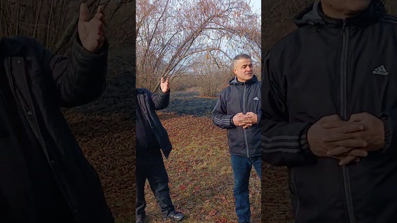 Əlim yansı satılır