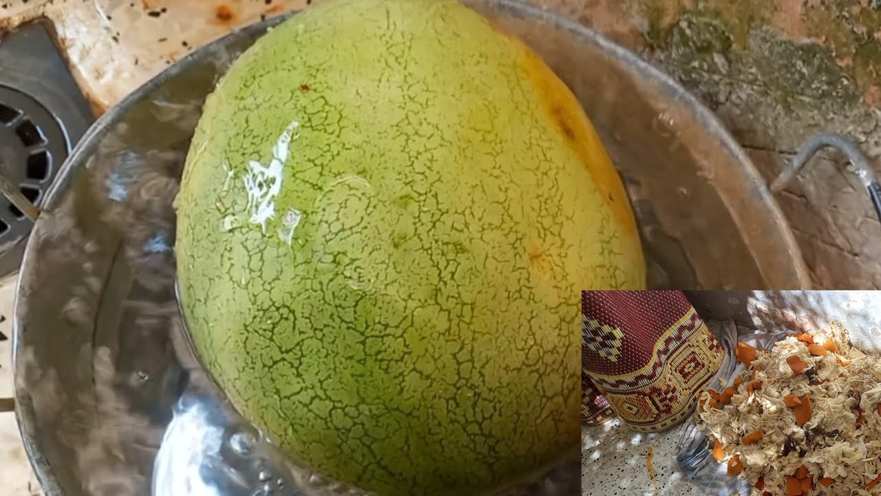 طعام القرية الصحي تحضير الأم الجزائرية قهوة الصباح تحت شجرة ياسمين وتغسل الصوف مزلة في عادت زمان