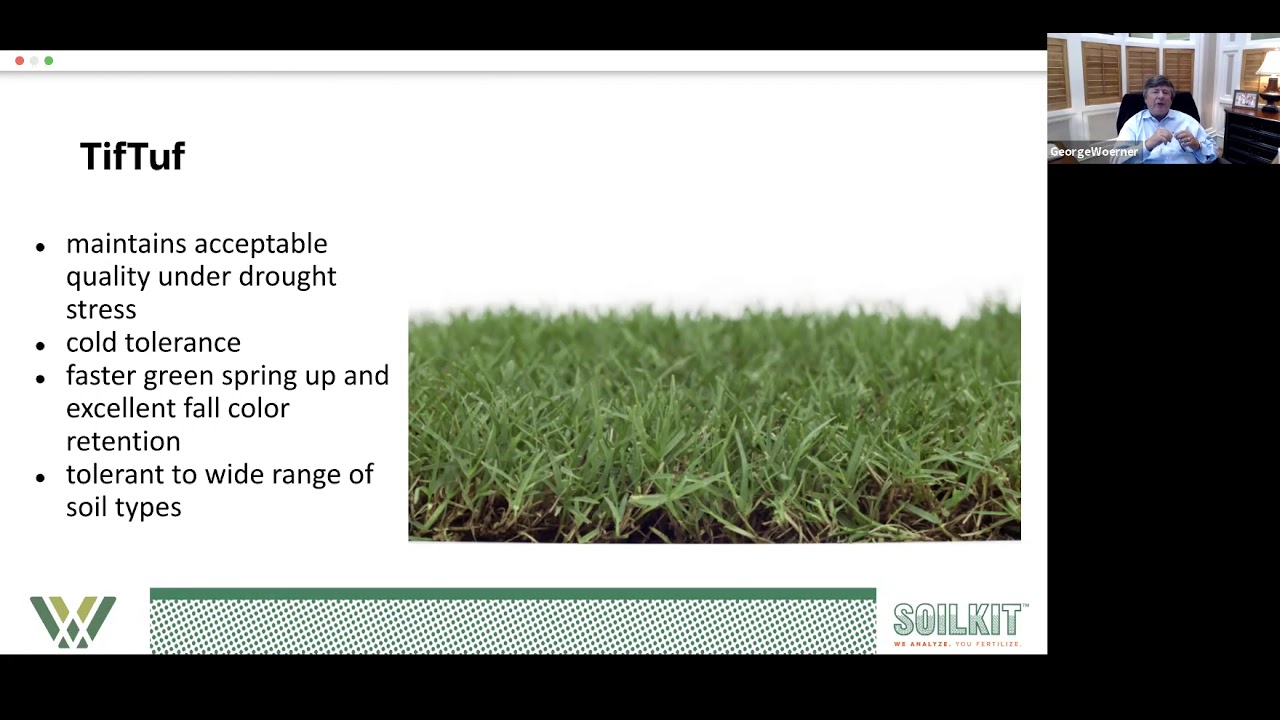 George answers: Can I regrow my yard with seed? Winter Rye grows well, why not a year-round yard?