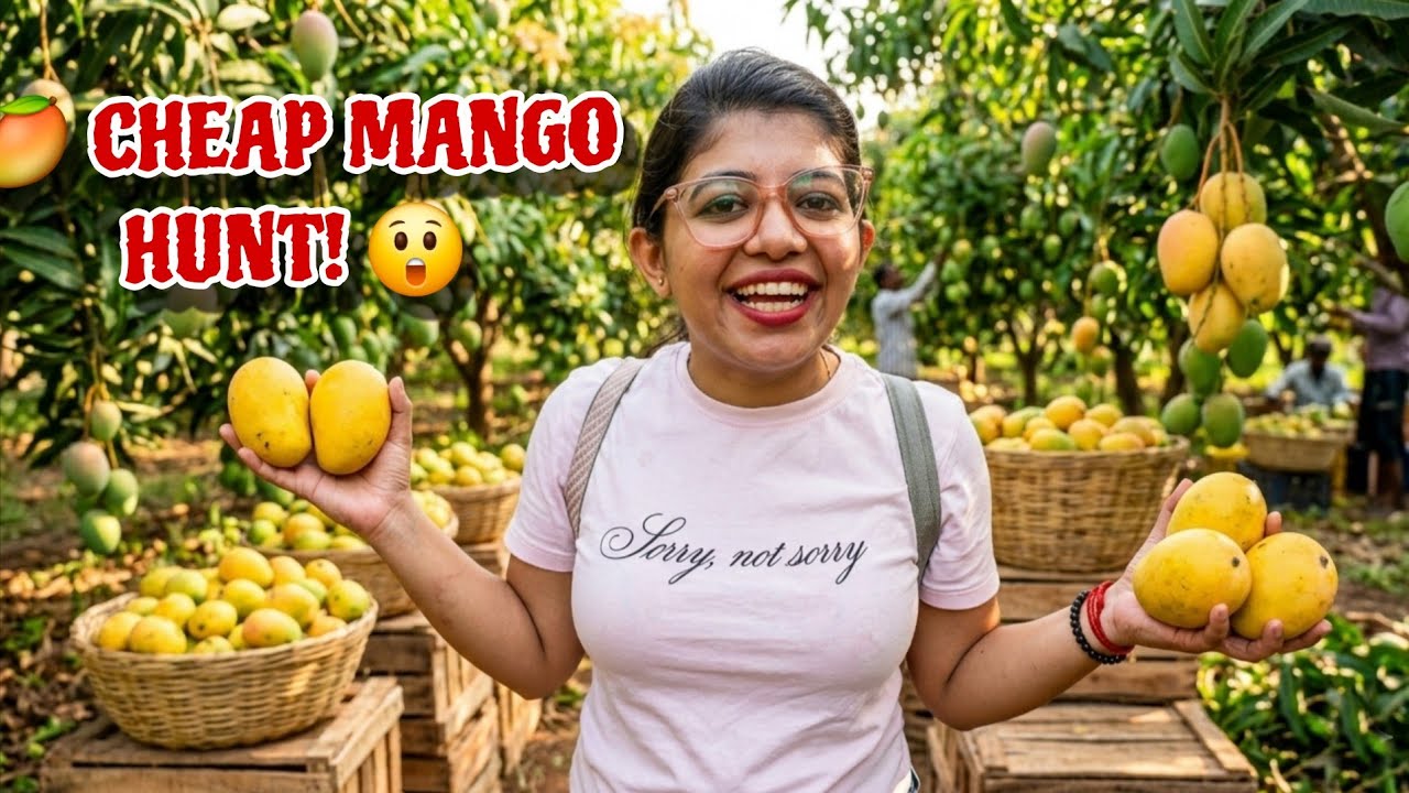 Searching for the cheapest mangoes and this happened! 😲🥭 #goanvlogger #konkanivlogs 