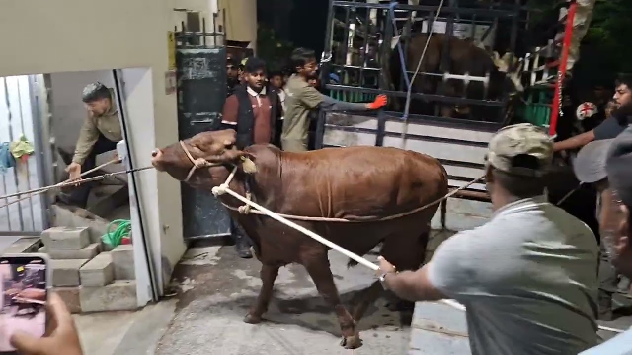 Bakrid 2026