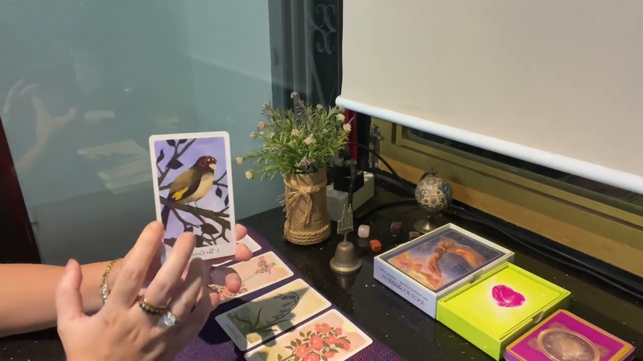 CÔNG LÝ ĐƯỢC THỰC HIỆN CHO BẠN 🫣 MỘT NỐI QUAN HỆ ĐỘC HẠI ĐÃ KẾT THÚC 👀