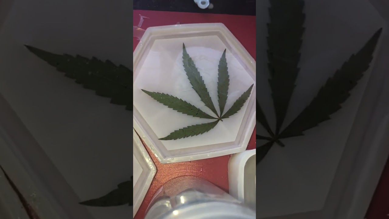 Leaf Resin Art: Preserving Nature with Cannabis Leaves in Epoxy#resinart #cannabisart