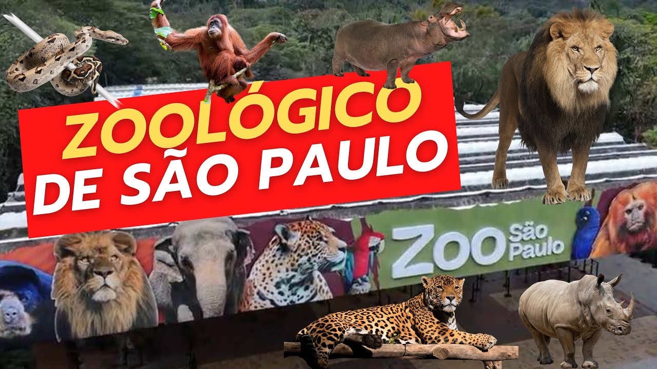 Zoológico de São Paulo!