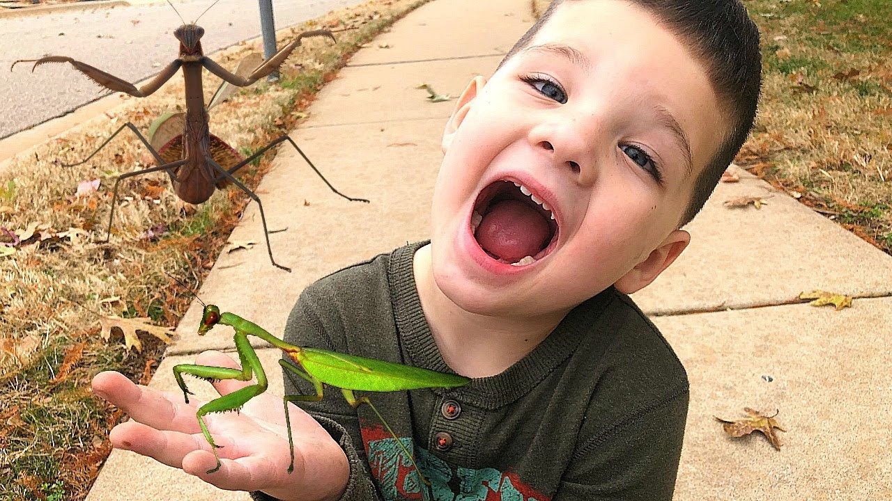 Caleb & Mommy Playing Outside & Find PREYING MANTIS BUGS!