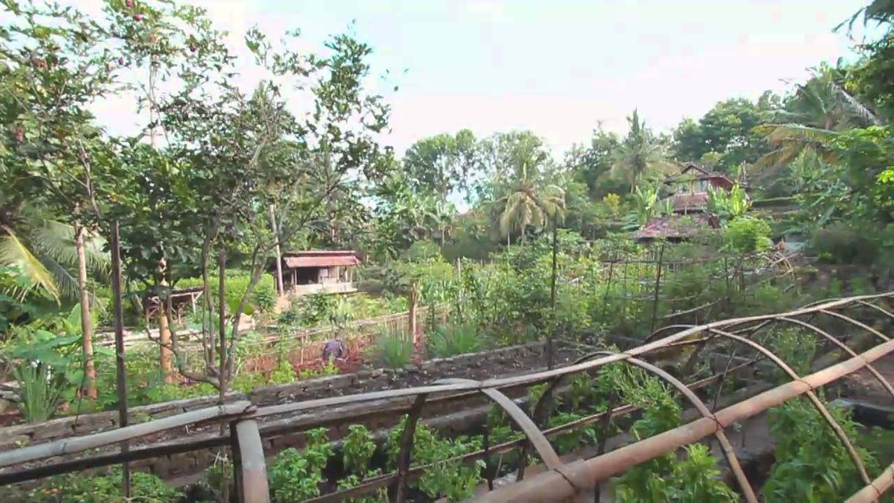 SwaDesa - Bumi Langit