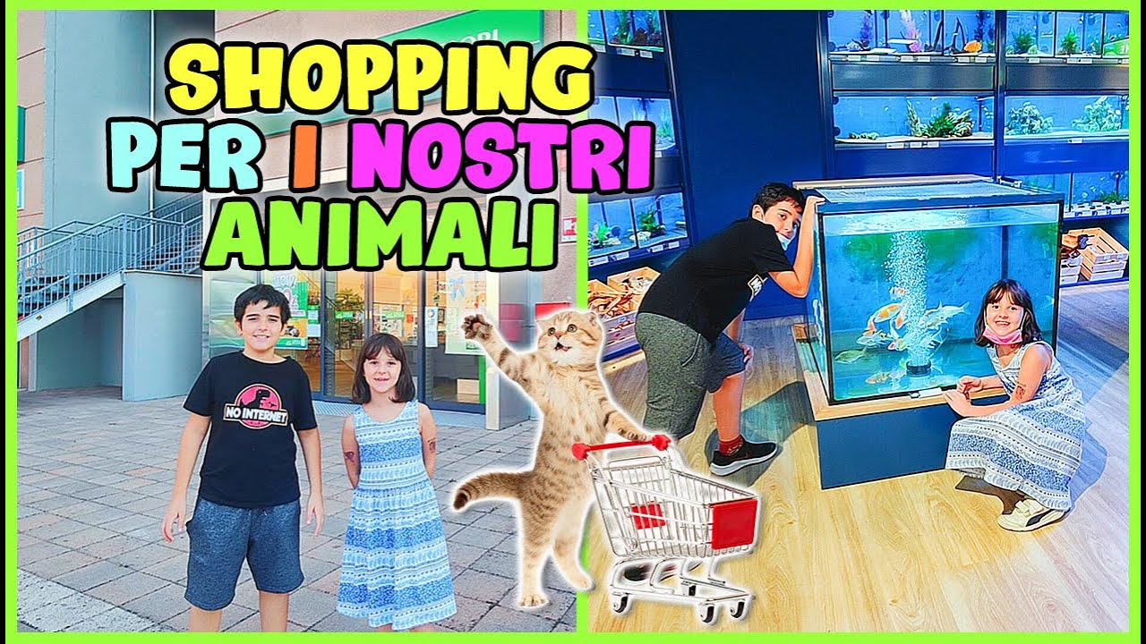 🐾Shopping per i nostri animali all'Isola dei Tesori 🐾