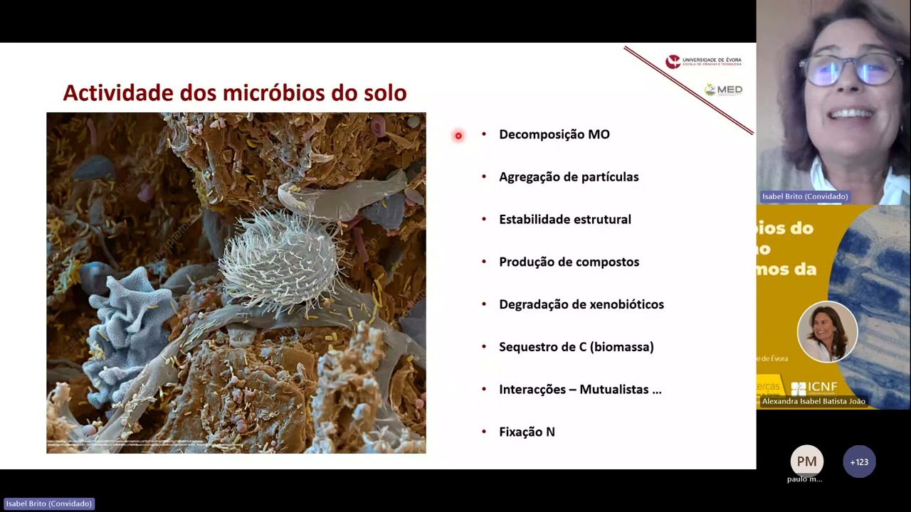 Webinar 