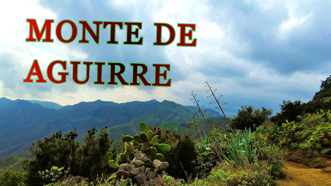 Pico del Ingl&eacute;s - Sendero Monte de Aguirre. Parque Rural de Anaga, Santa Cruz de Tenerife.