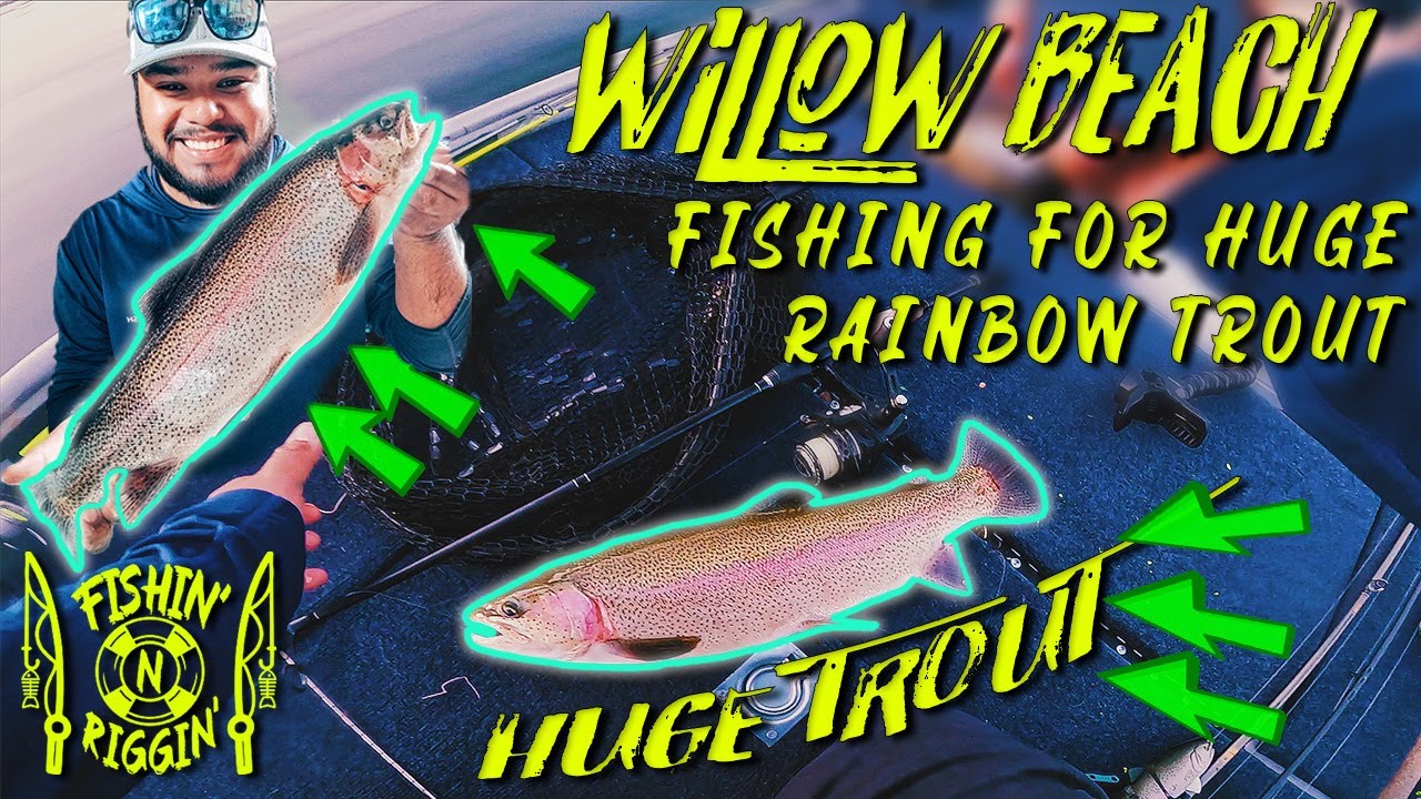 Fishing Willow Beach for HUGE Rainbow trout!!