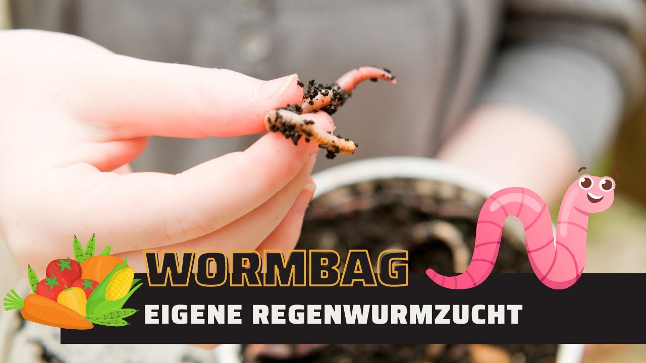 Wormbag - Bioabfall mit Kompostwürmer verwerten - der Aufbau