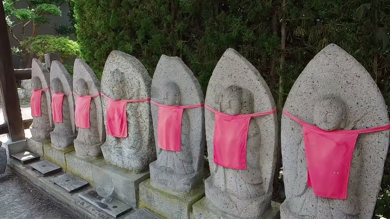 新潟県新潟市秋葉区小須戸 / 250727✨信濃川の舟運で栄えた、趣ある「在郷町」の町並みが残るノスタルジックな港町。 🏠✨