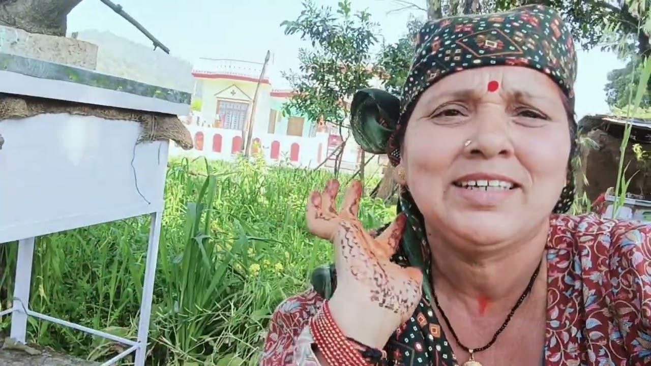 लौग बिडियो मधु मक्खियां पालन और 🐜🐜🌺🥀🌻