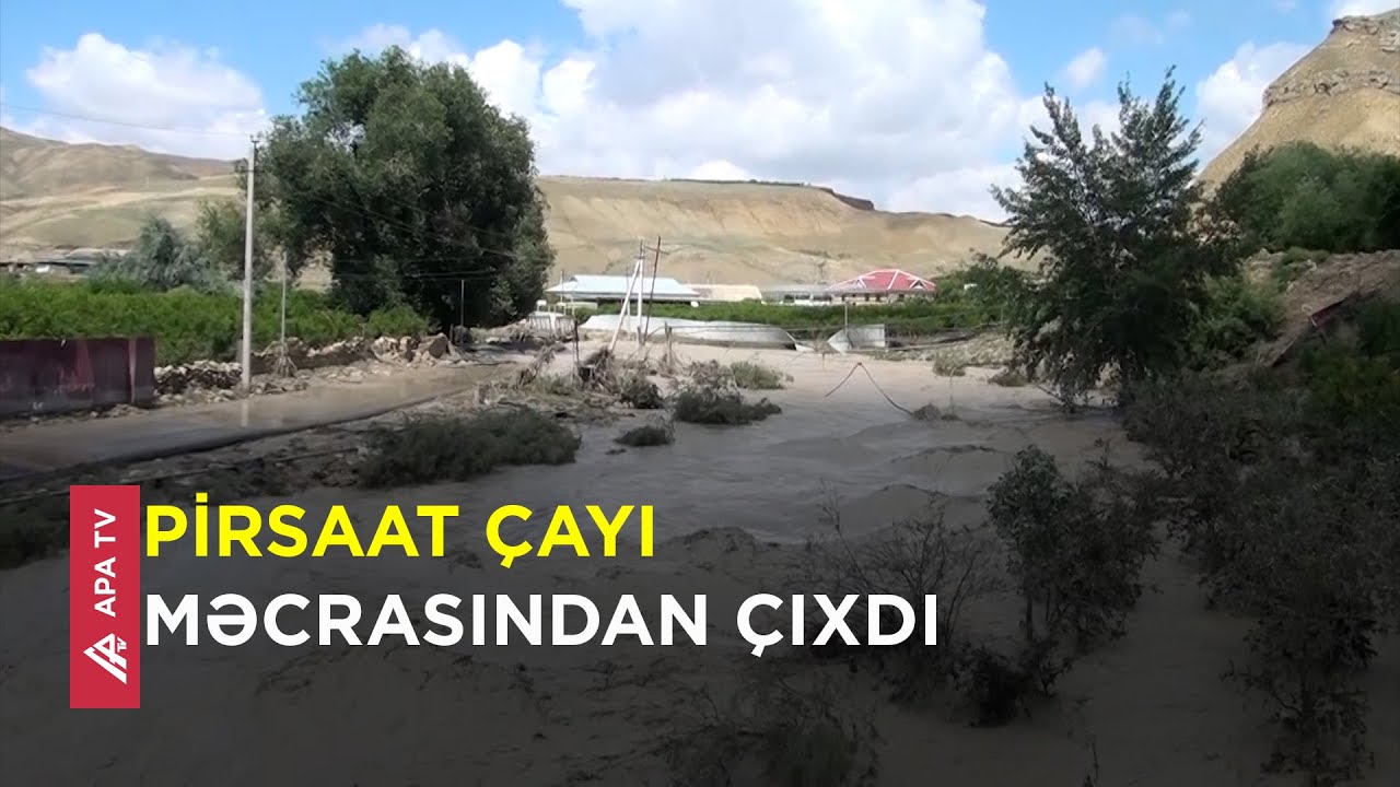 Təsərrüfatlara ciddi ziyan dəydi, ev heyvanları tələf oldu – APA TV