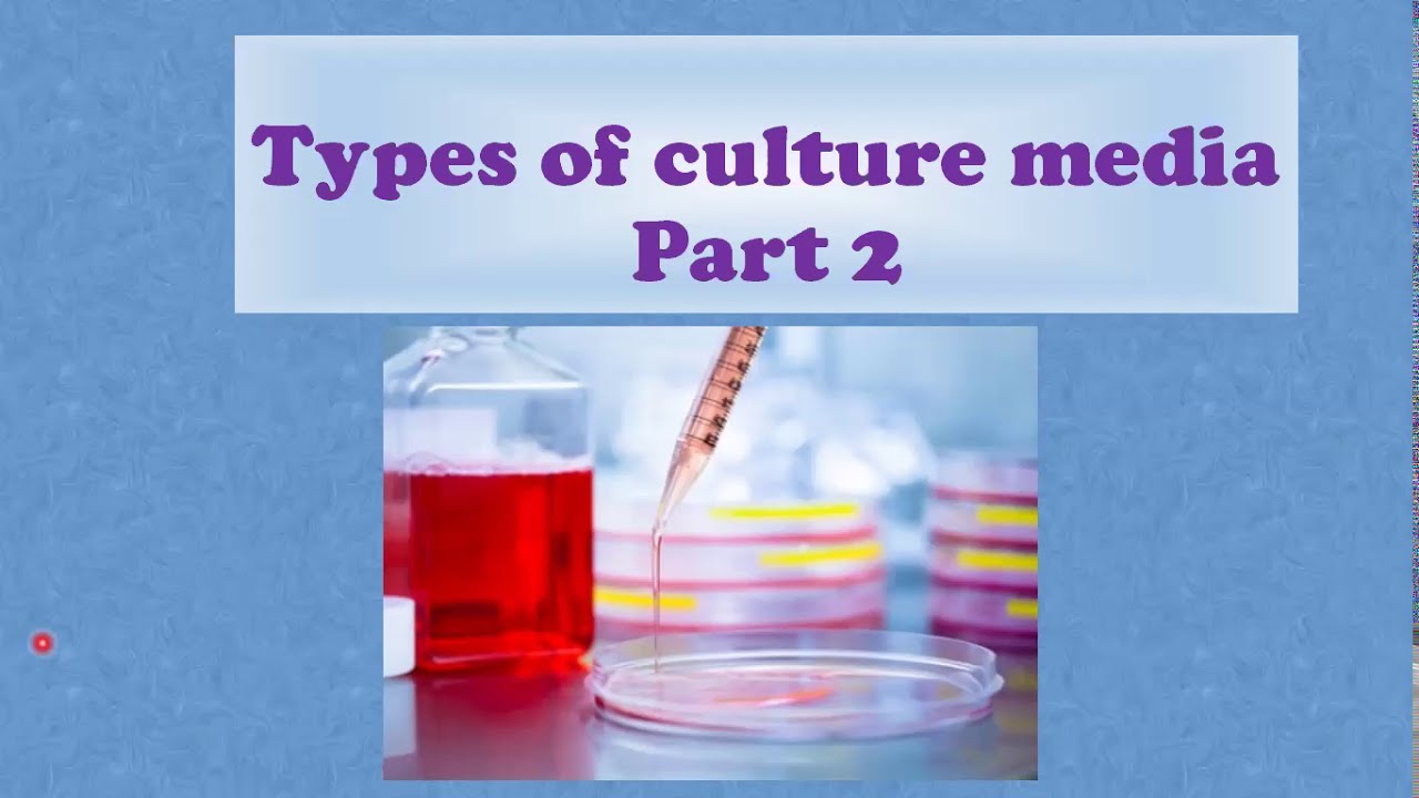 الجزء الثاني أنواع الاوساط الزراعيه للبكتريا - (Types of culture media (part 2