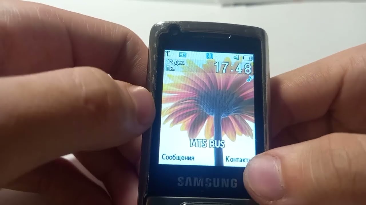 Обзор на Samsung SGH L700