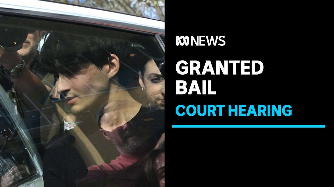 Man accused of killing SA Police Commissioner's son in alleged hit-and-run granted bail | ABC News