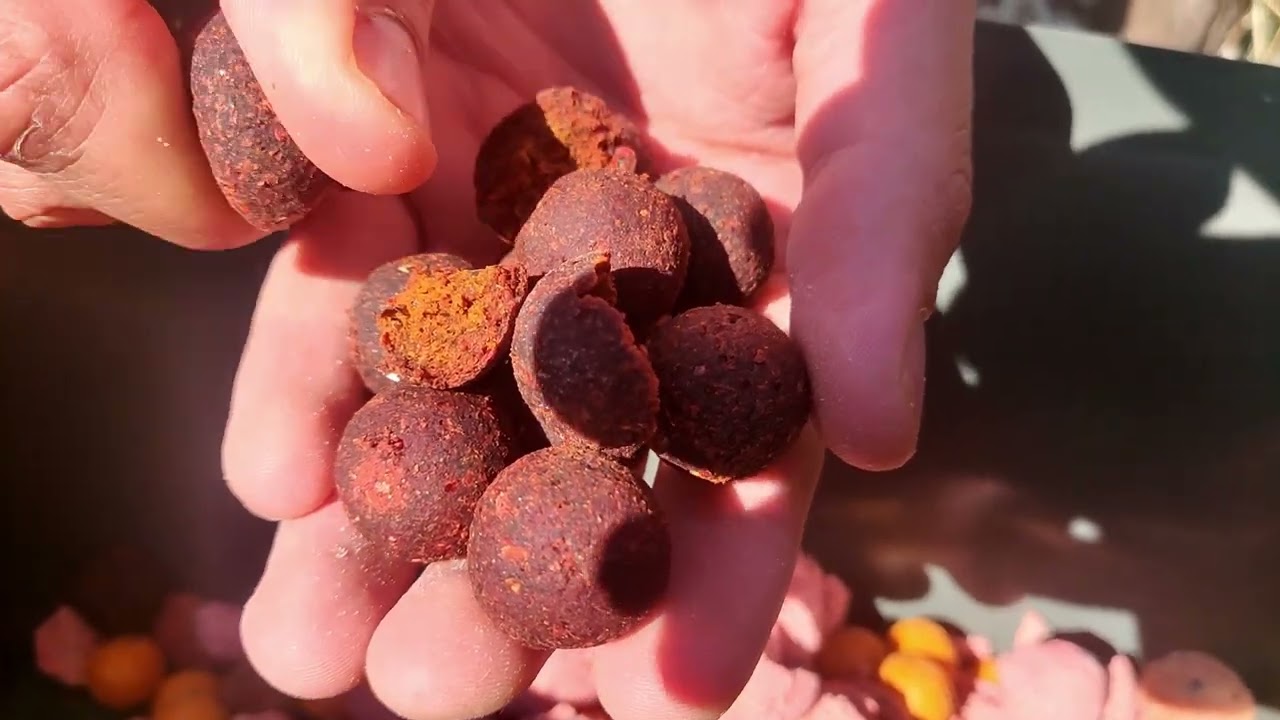 Starbaits   RS1