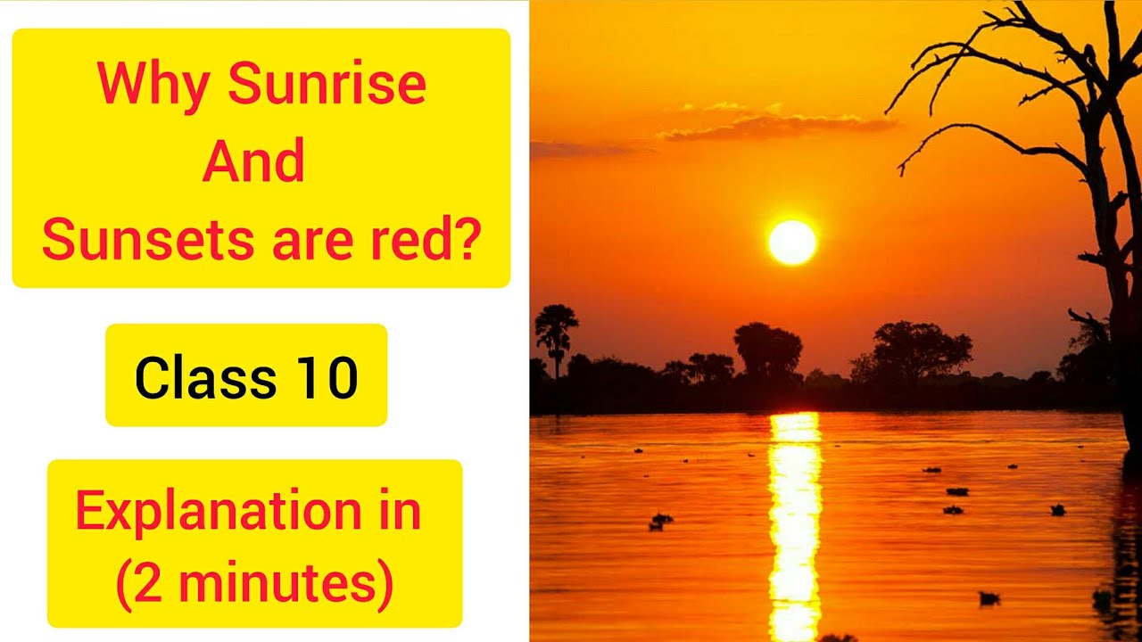 why the sun appears red at sunrise and sunset | class 10 | Hindi Explanation in 2 minutes.