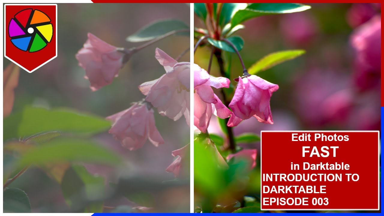003 - How to Edit Photos FAST in Darktable | Introduction to Darktable