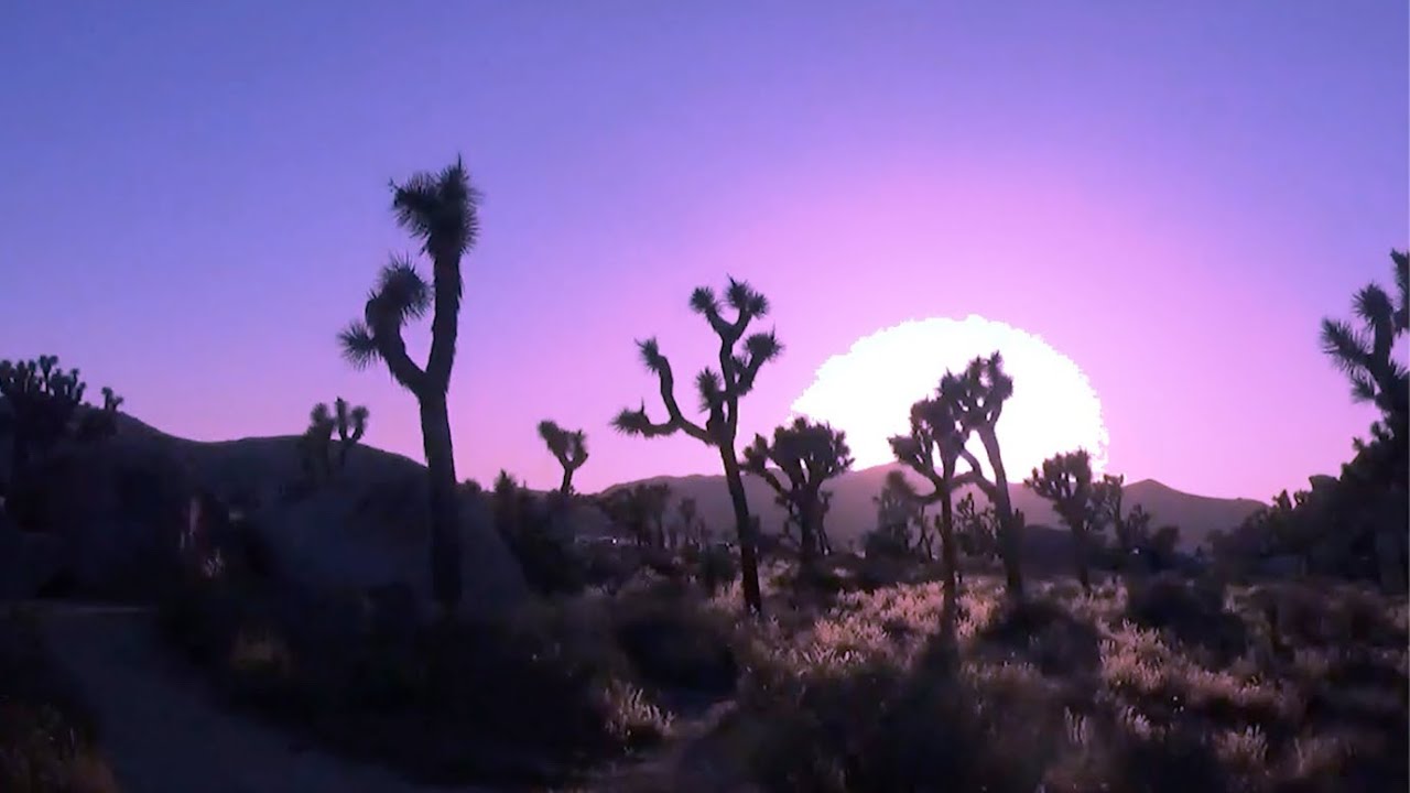 L.A. Suzi - 4. Diszkó szexizés (ft. Doraxplorer)