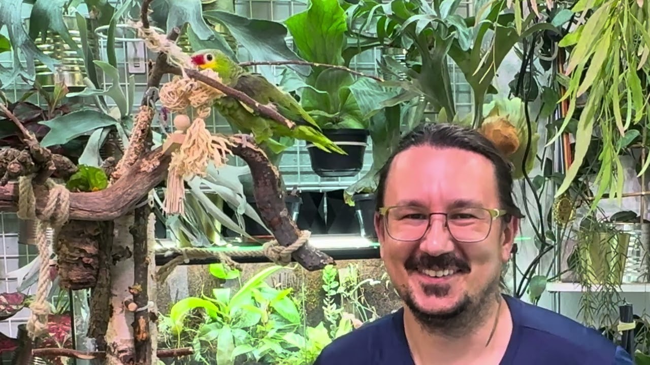Unboxing Roślinny ,domowe bagienko ❤️