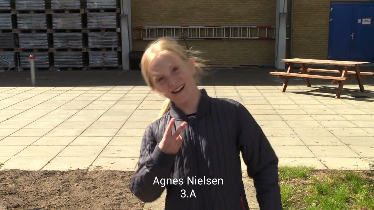 Søndermarksskolens Sidste Skoledag - Nomineringer 2022