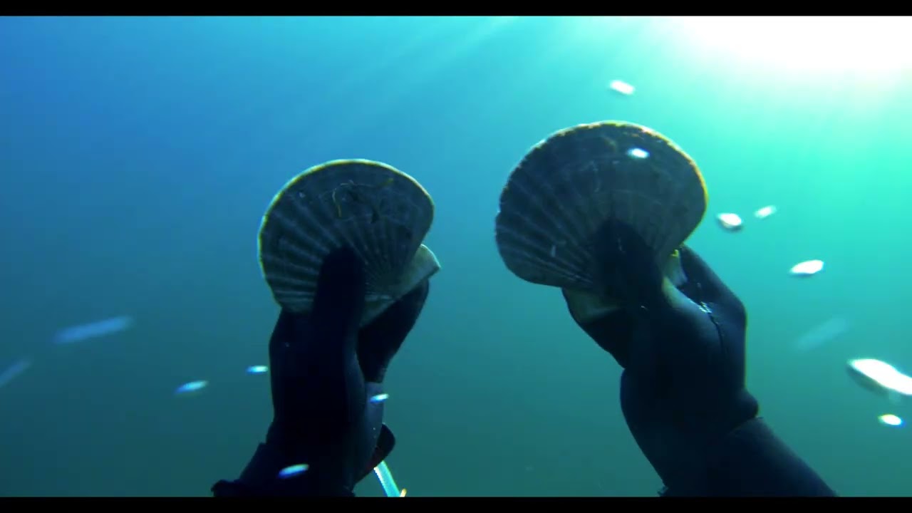 Den krystallklare sjøen om vinteren gir fridykkere en uforglemmelig opplevelse.