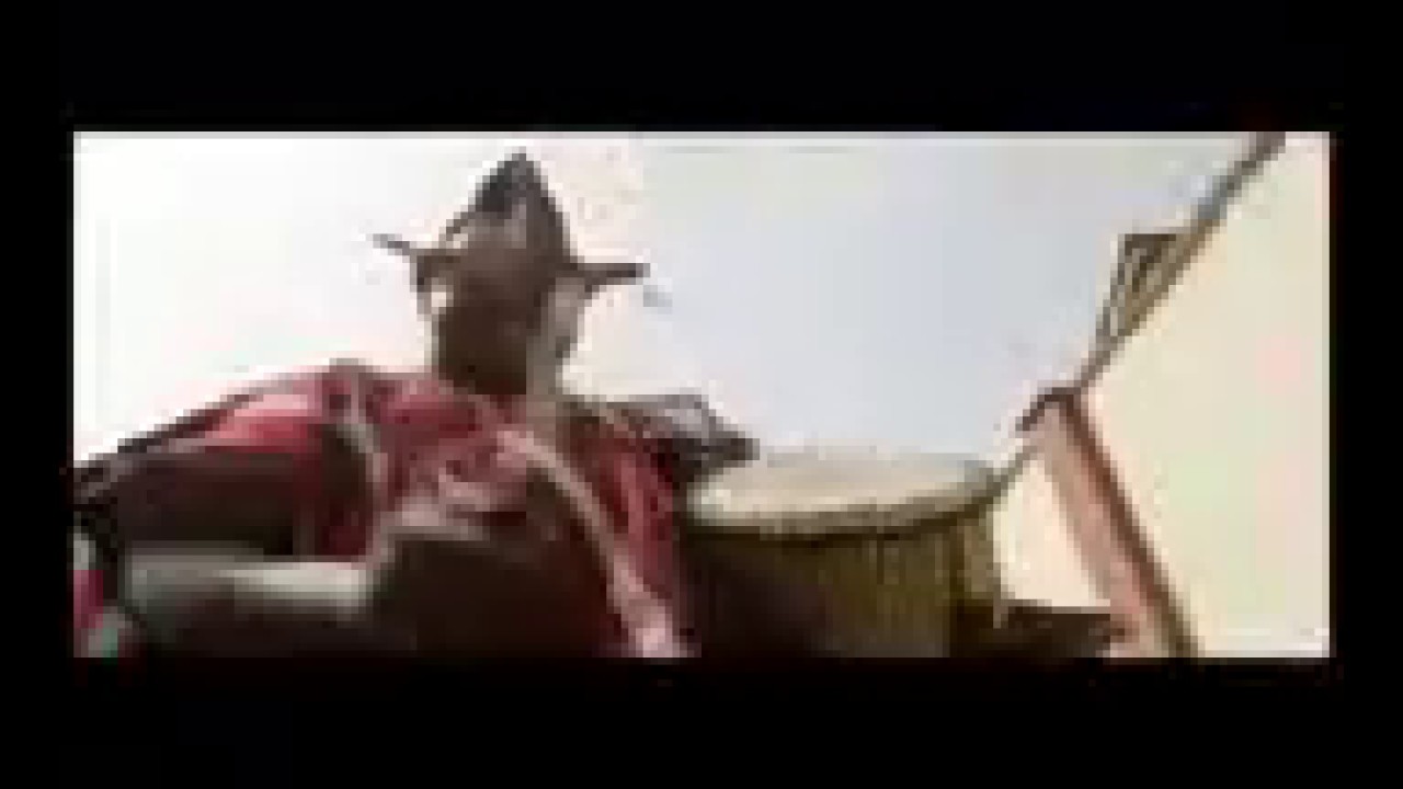 Ọ̀yọ́ Anthem - Asiwaju ni wà
