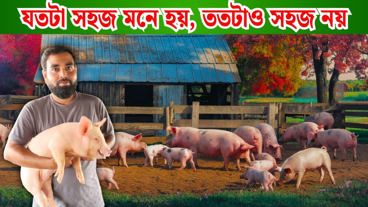 শুকর পালন করলে নিজেকে শুকর হতে হবে || Pig Farming Training || শুকর পালনের প্রশিক্ষণ || শুকরের খামার