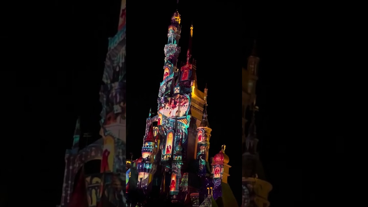 HongKong Disneyland Show