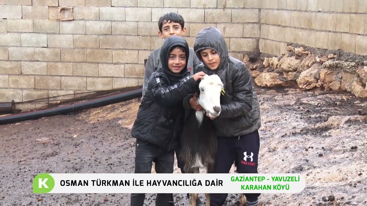OSMAN TÜRKMAN İLE HAYVANCILIĞA DAİR - GAZİANTEP YAVUZELİ KARAHAN KÖYÜ