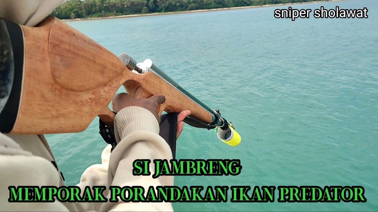 DERMAGA PASEAN BERGETAR !!!!MENGHADAPI PREDATOR INI