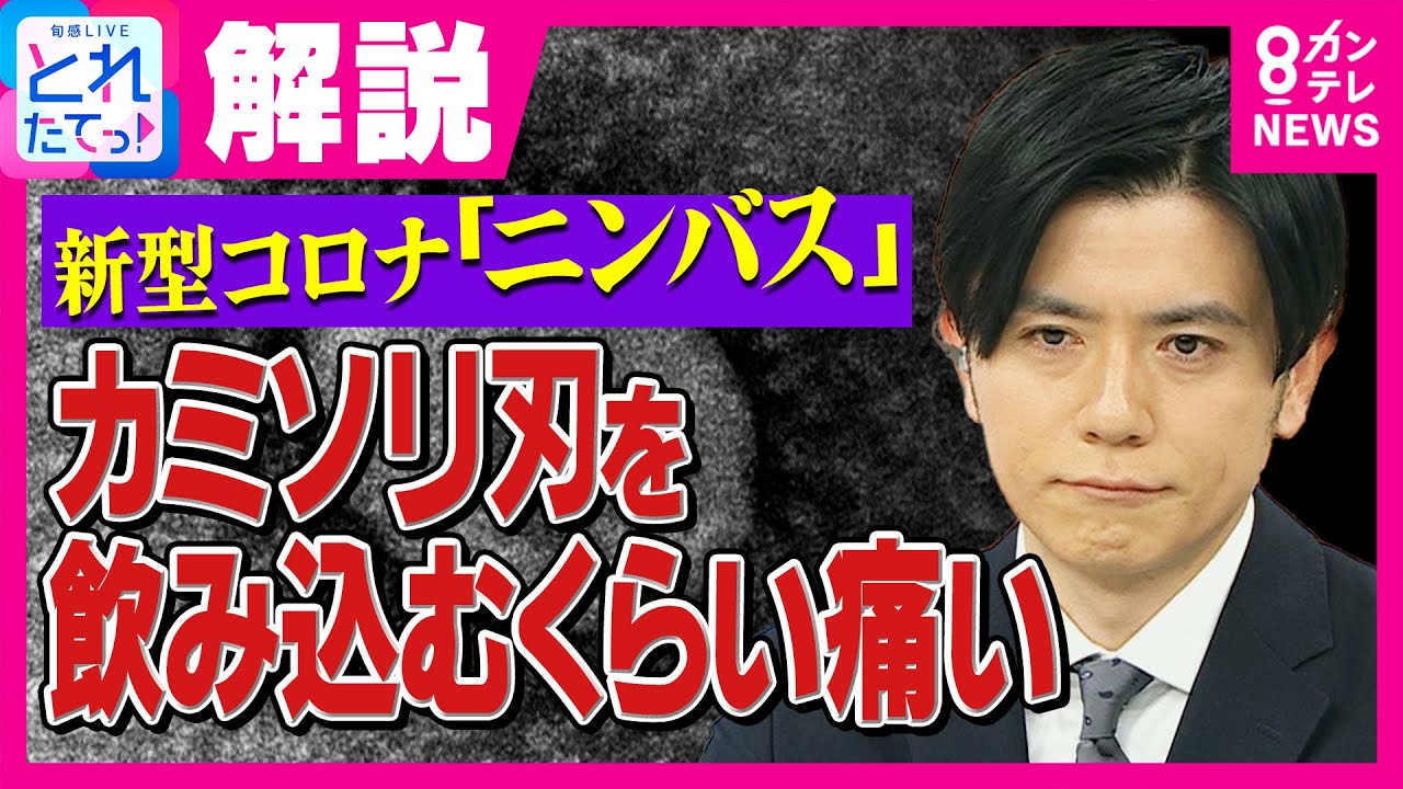 新型コロナ「ニンバス」拡大「カミソリの刃を飲み込むぐらい」のど痛むのが特徴　若い人は重症化せずも「感染広げる恐れ」に注意｜旬感LIVE とれたてっ!〈カンテレNEWS〉