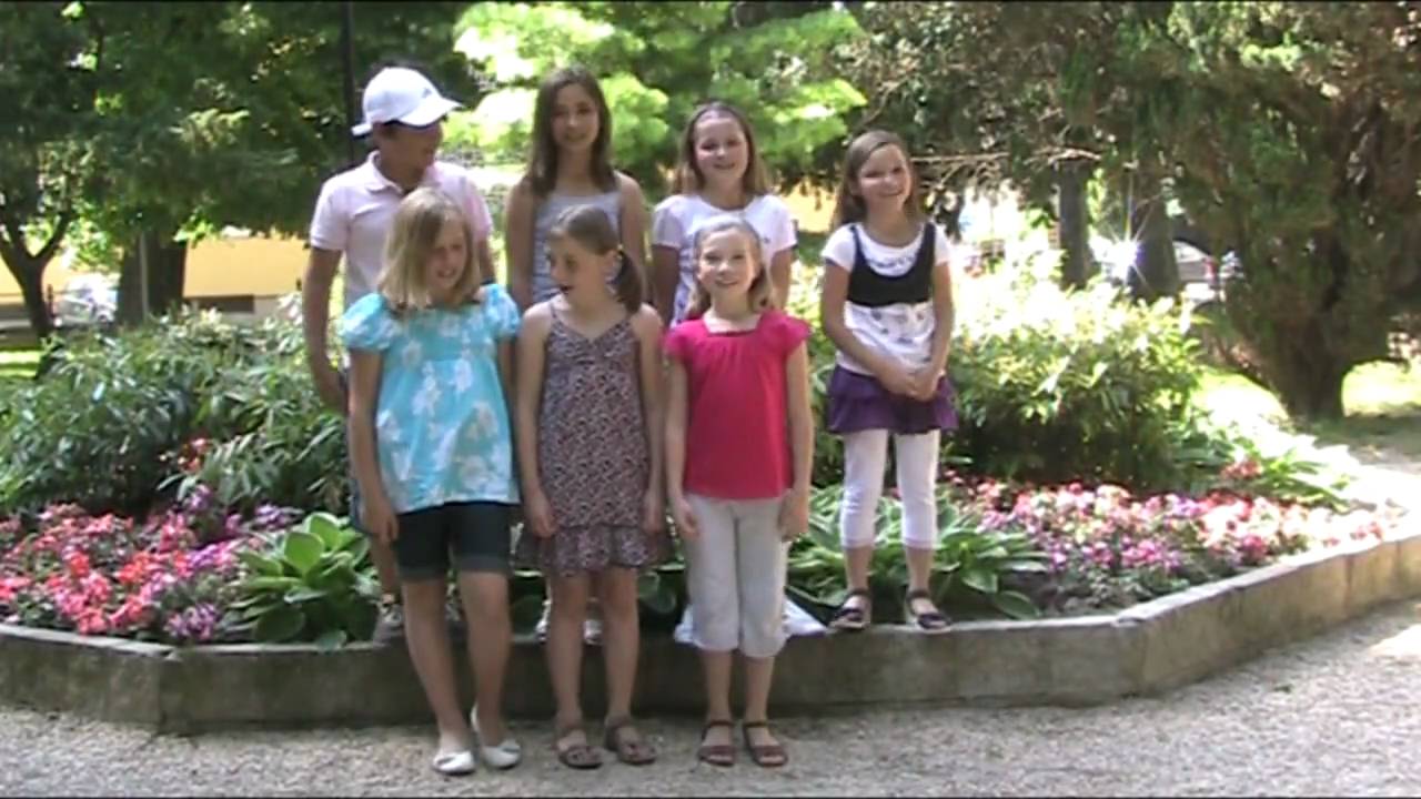 Viel Beigebracht (Poker Face Cover Version)