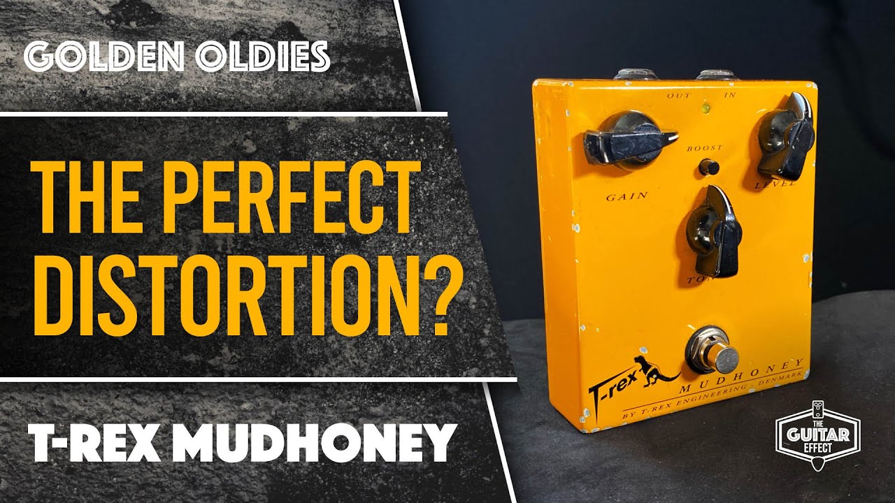 T-Rex Mudhoney. A really simple and effective Distortion. Capable of most gain sounds.