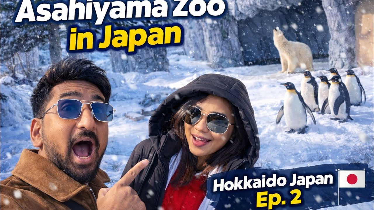 Asahiyama Zoo Japan 🐧 | Hokkaido Winter Travel Guide 🇯🇵 | Sapporo Snow Experience Ep.2