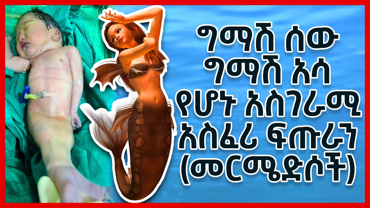 ግማሽ ሰው ግማሽ አሳ የሆኑ አስገራሚ አስፈሪ ፍጡራን (መርሜድሶች) | Abel Birhanu የወይኗ ልጅ 2 | about mermaids