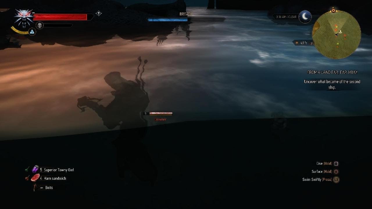 Infinite Drowner Spawnings please help (where is the second ship wreck?) - The Witcher 3