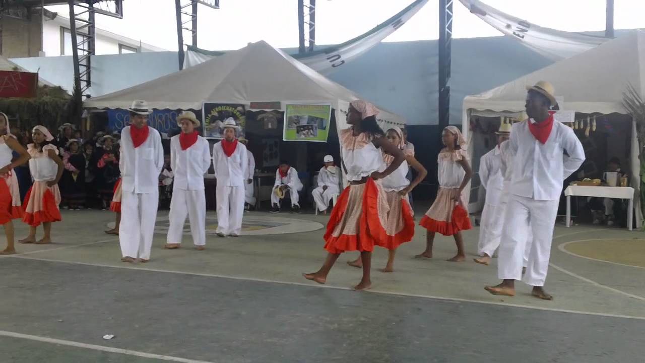 DANZA  DEL CHOTA 1.MP4