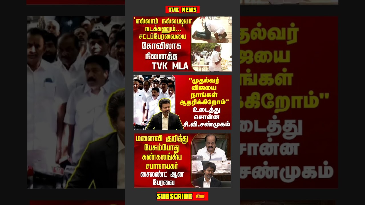 TVK Thalapathy Vijay Anna || #tvk#dmk#admk#congress#bjp#breakingnews#thalapathy#vijay#news