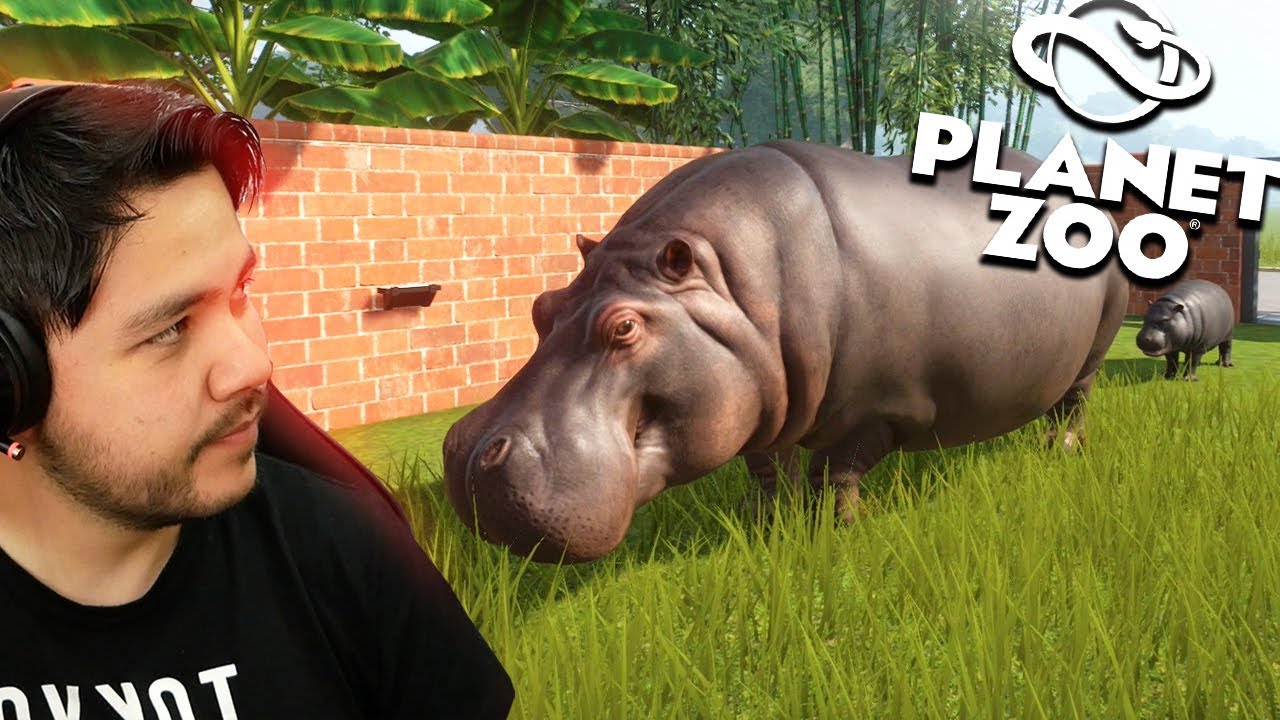 PLANET ZOO - Os HIPOPÓTAMOS QUEBRARAM TUDO!