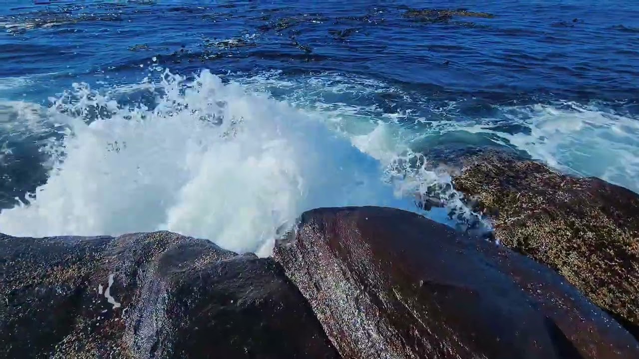 Зона отдыха Солт КрикSalt Creek Recreation Area 2024 #usa #washingtonstate #rek #nature 