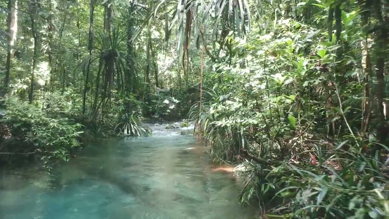 Blue River - Waigeo, Raja Ampat Indonesia
