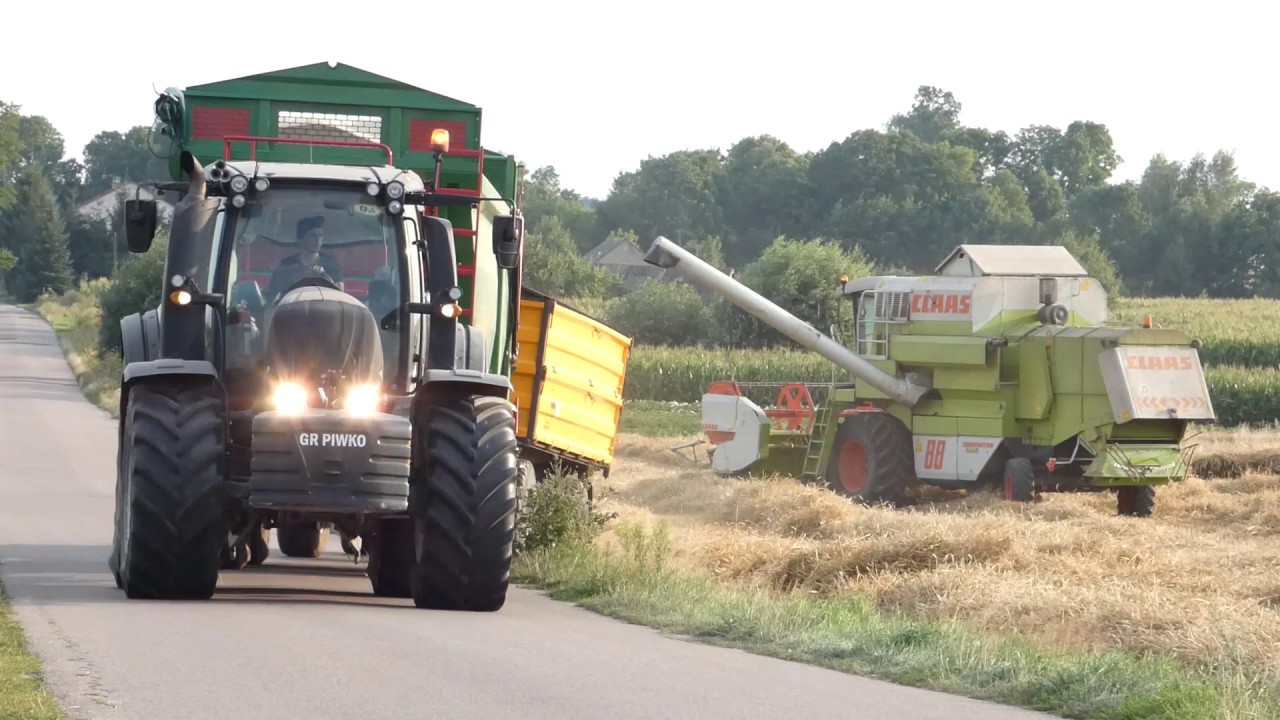 ZESTAW 50 TON POD GÓRKĘ! ✬ Żniwa 2019 w GR Piwko