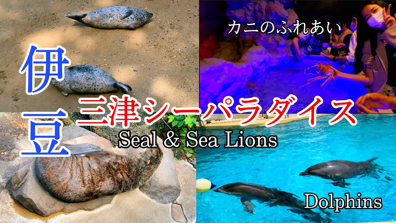【伊豆】三浦シーパラダイス/Mito Sea Paradise